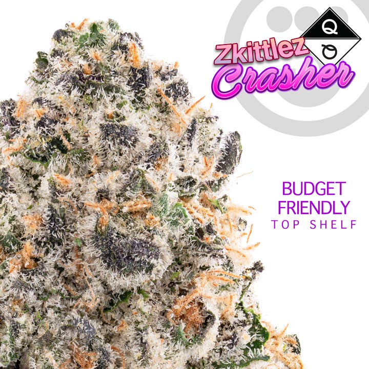 230608 – Q over Q – Promo – Zkittlez Crasher – WHT BG – 1X1 – 720×720
