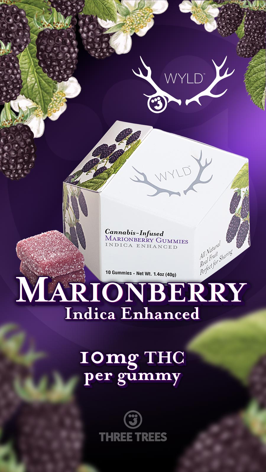 WYLD - Marionberry 10mg Indica Enhanced Gummies