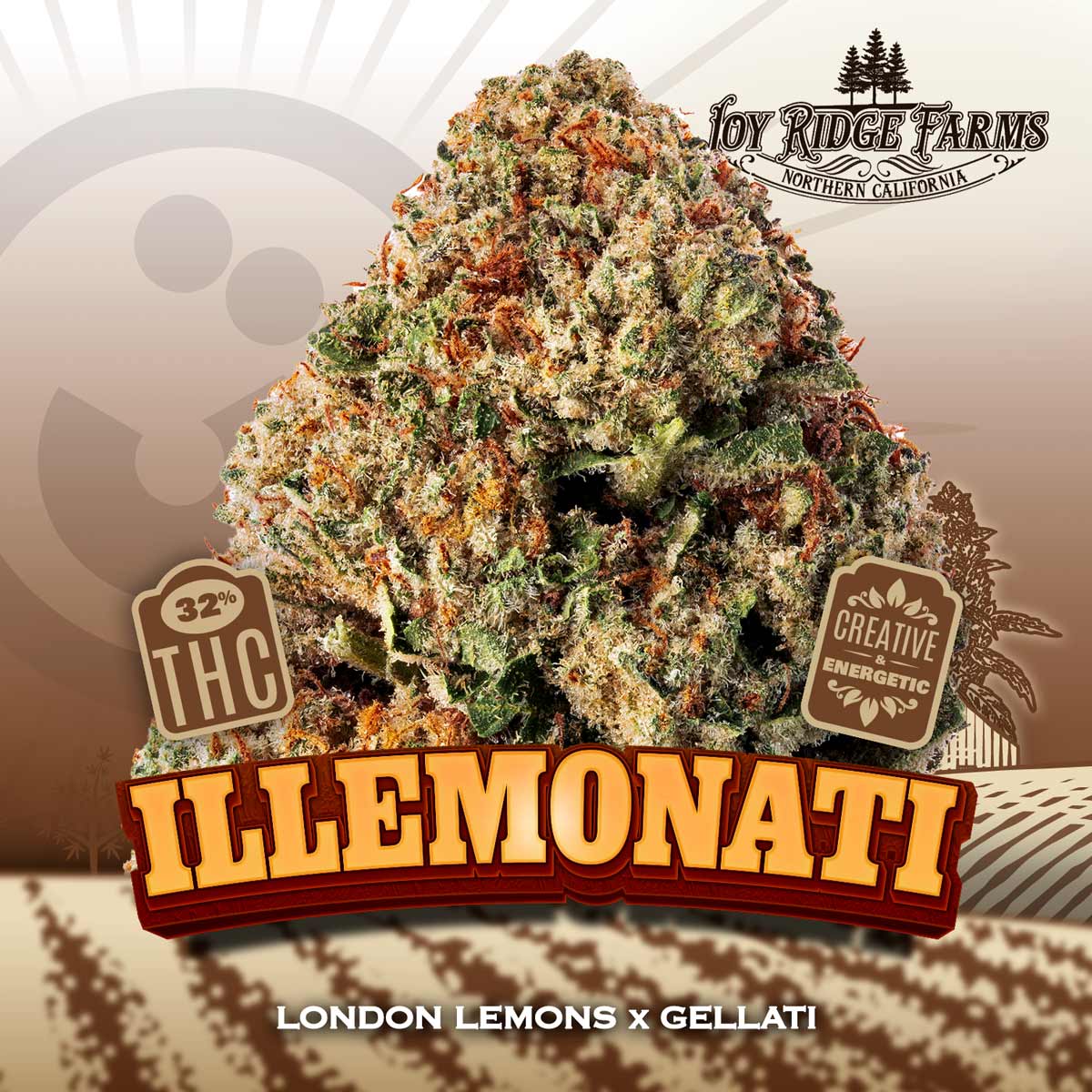 Joy Ridge Farms - Illemonatti Flower 28g