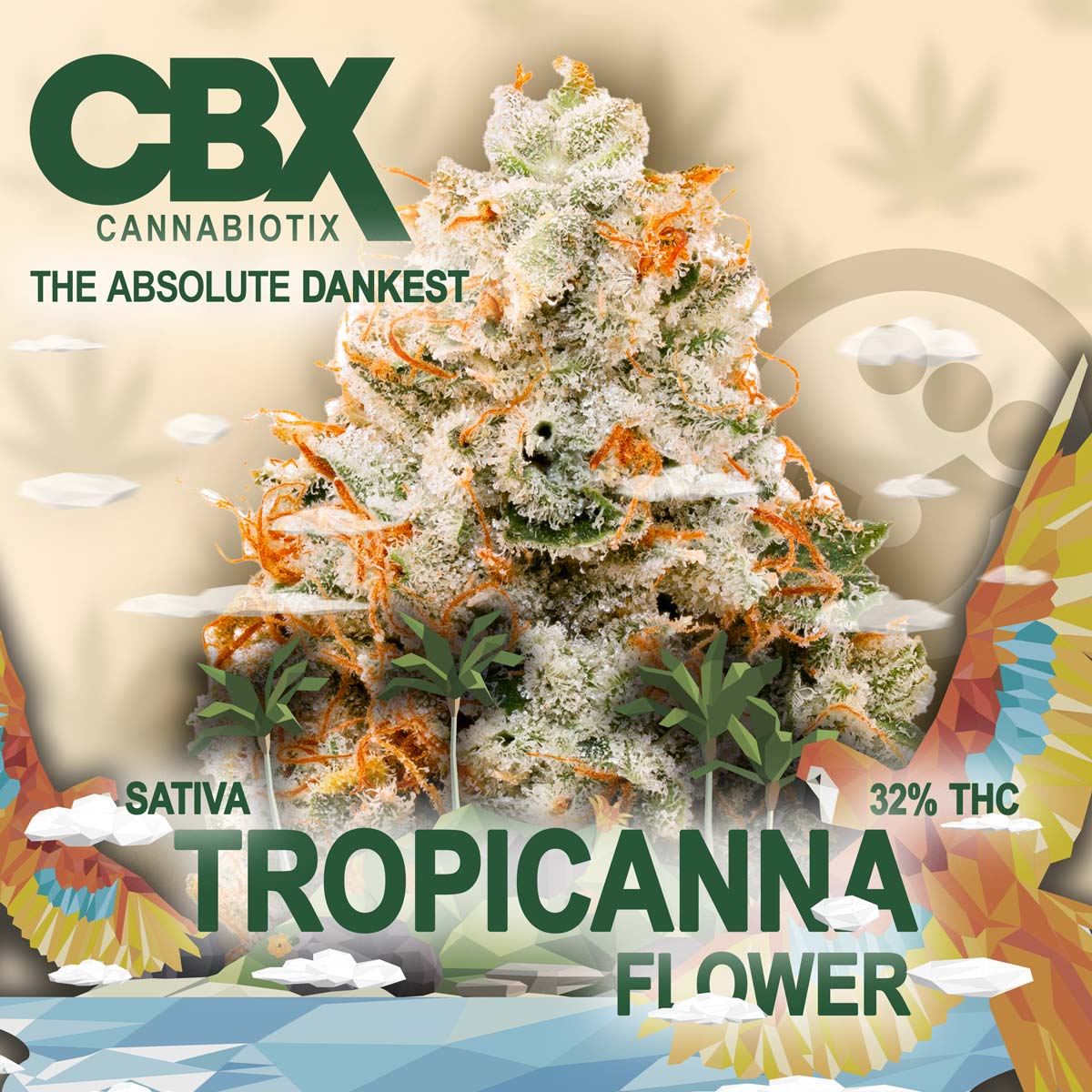 Cannabiotix - Tropicanna Flower 3.5g