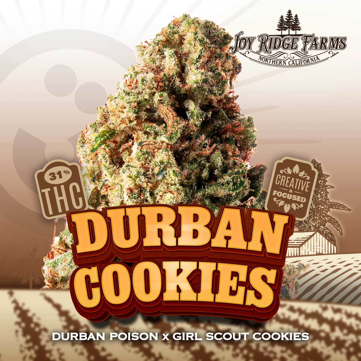 Joy Ridge Farms - Durban Cookies Flower 14g