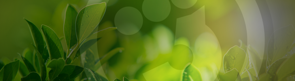 Raw Garden Products