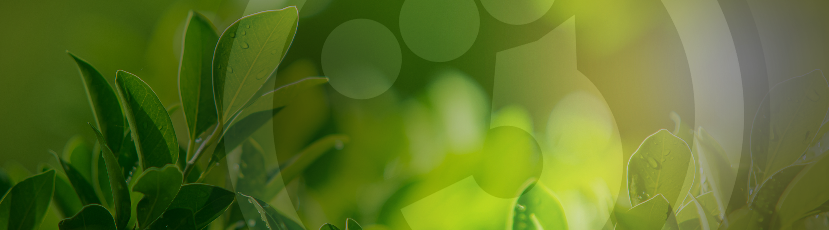 Raw-Garden-30%-WM-Hero-Banner-BG-2880×800-01262023 Raw Garden Products