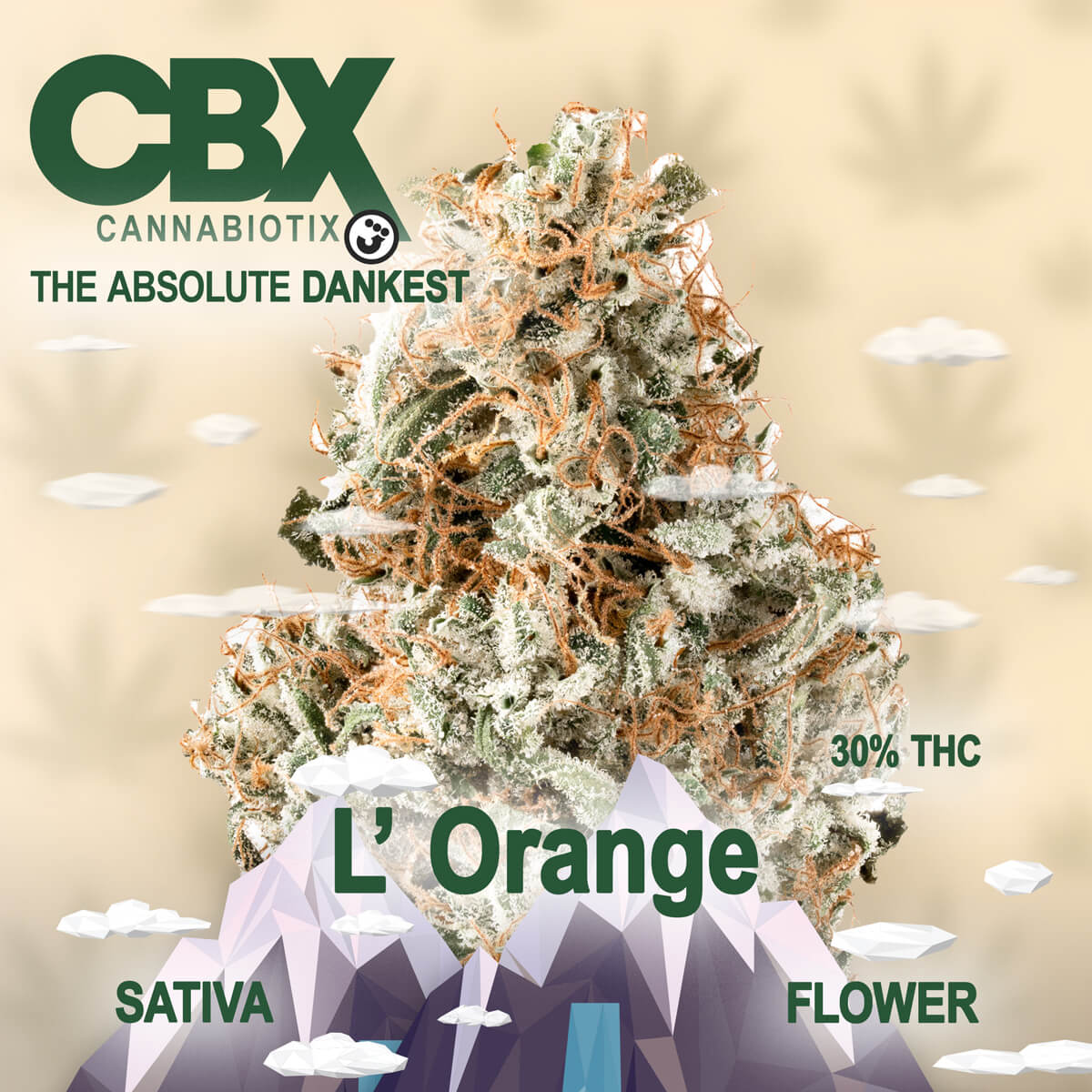 Cannabiotix-CBX-Flower-L’ORange-1×1-BRANDED-1200×1200 Quality Over Quantity - Cherry Gas Flower 14g