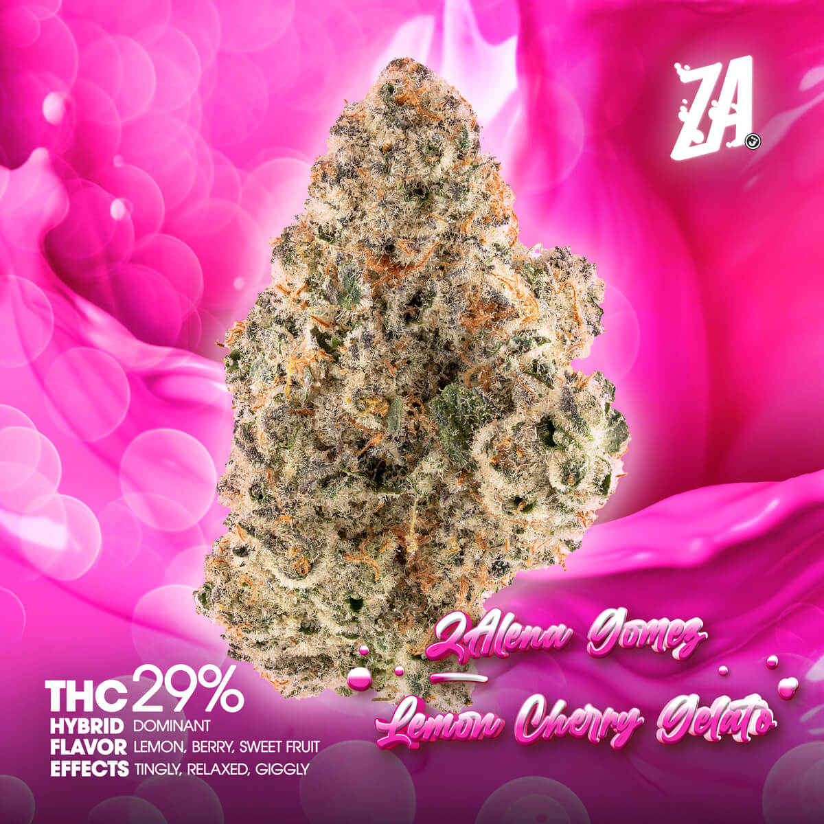 ZA-Flower-ZAlena-Gomez-Lemon-Cherry-Gelato-1×1-BRANDED-1200×1200 Quality Over Quantity - Cherry Gas Flower 14g