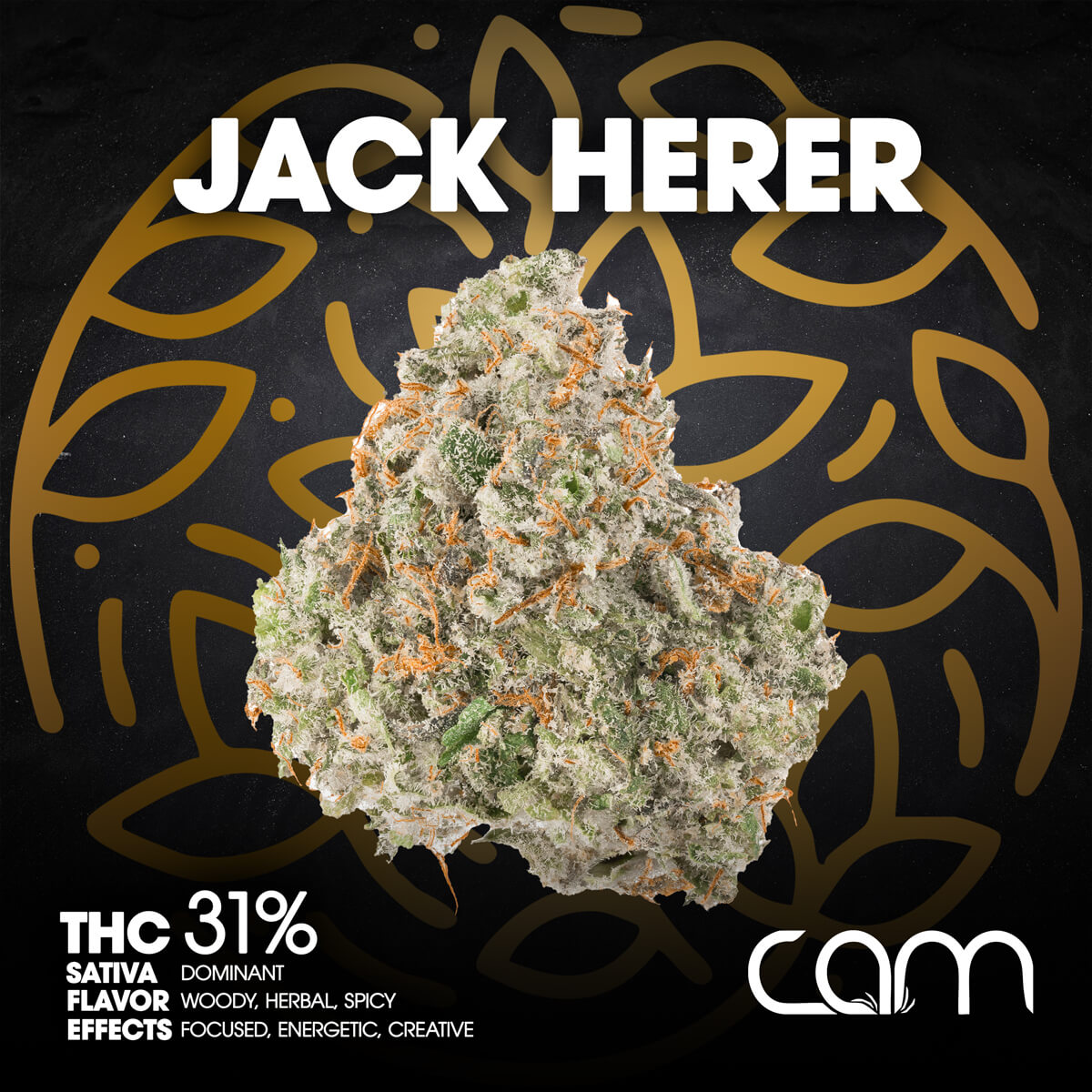 CAM-Flower-Jack-Herer-1×1-BRANDED-1200×1200 Quality Over Quantity - Cherry Gas Flower 14g