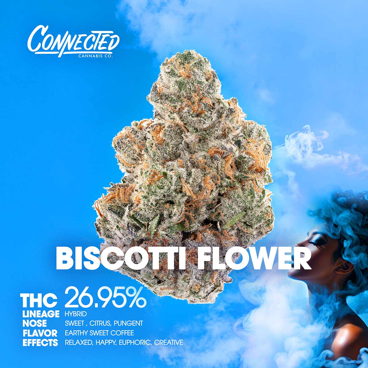 Connected-Flower-Biscotti-Flower-1×1-1200×1200 Connected Flower - Biscotti Flower 3.5g