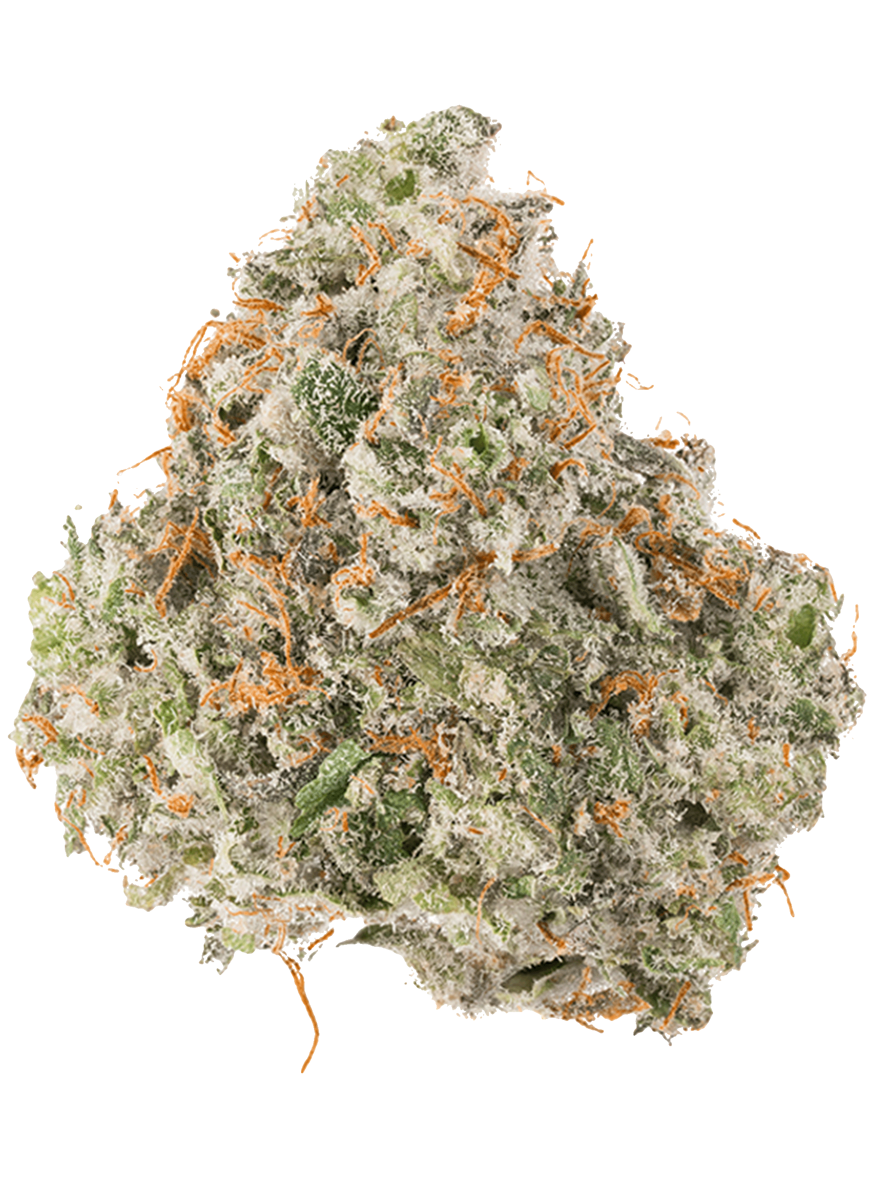 berryn Three Trees Weed Delivery // Fastest in the Bay Area
