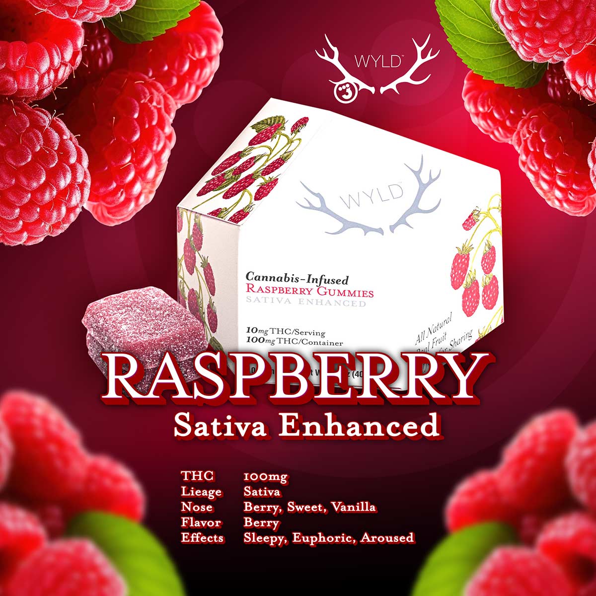 WYLD - Raspberry Sativa Enhanced Gummies 100mg