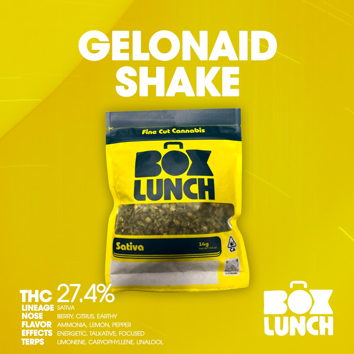 Box-Lunch-Gelonaid-Shake-1×1-Branded-1200×1200 BOX LUNCH - Gelonaid Shake 14g