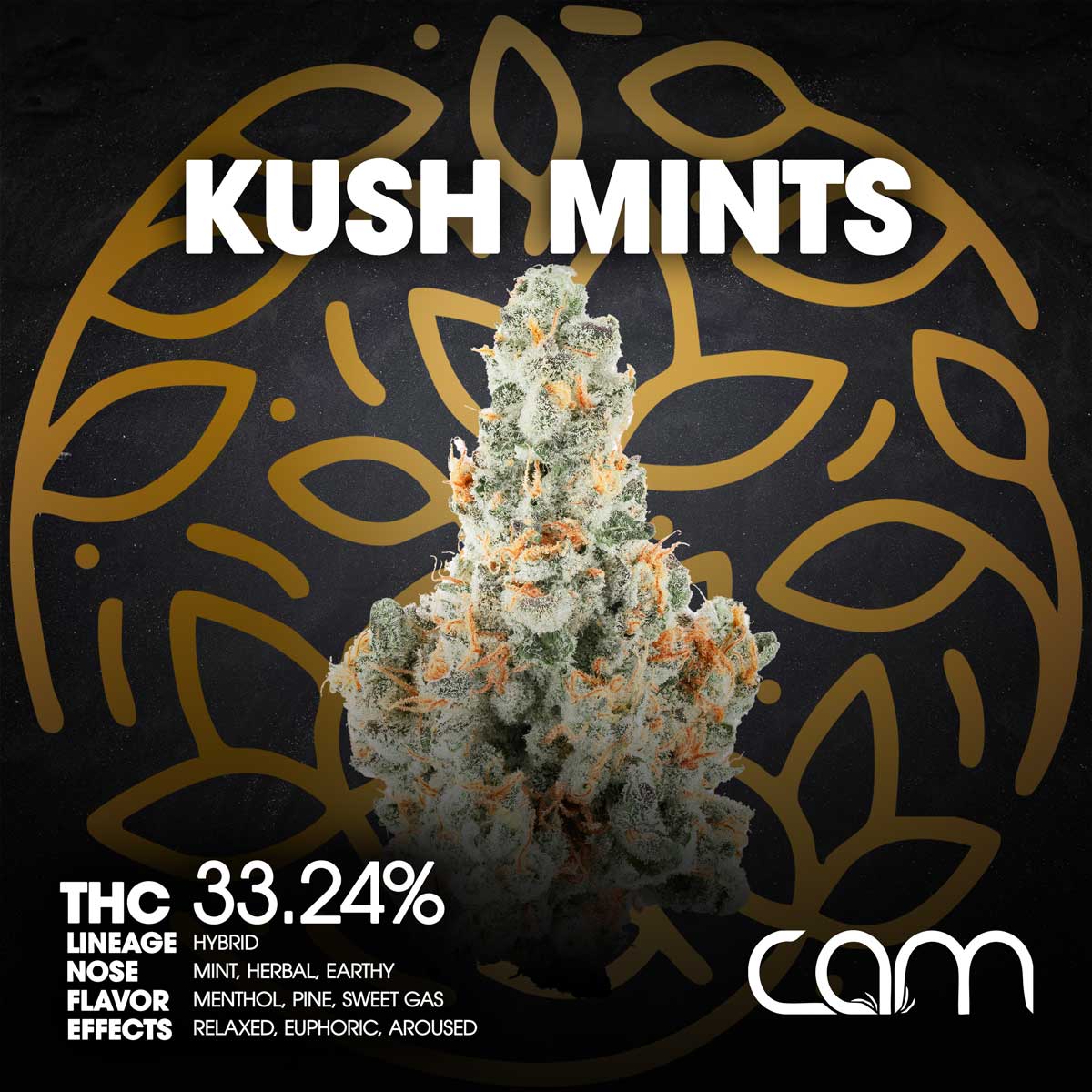 CAM-Flower-Kush-Mints-1×1-1200×1200 CAM - Kush Mints Flower 3.5g