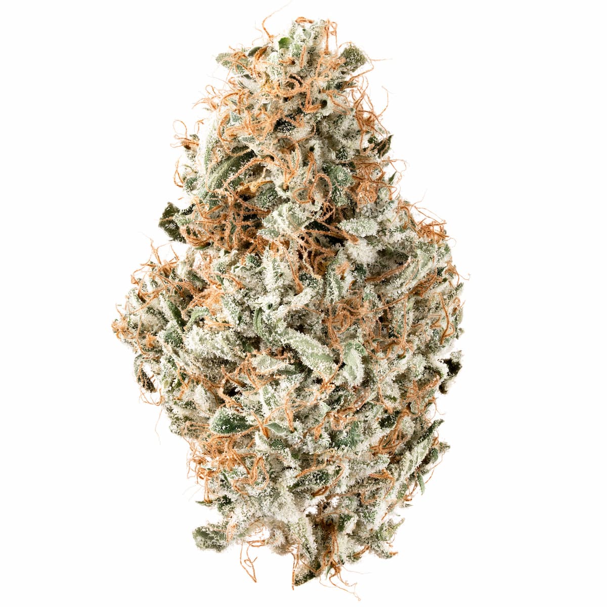 Cannabiotix CBX – Flower – L’Orange – WHT BG – 2048 – 1X1 MENU – 200609 CANNABIOTIX - L'Orange Flower 3.5g