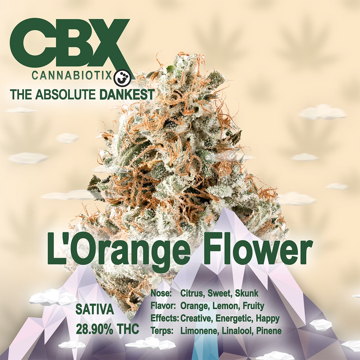 CANNABIOTIX - L'Orange Flower 3.5g 