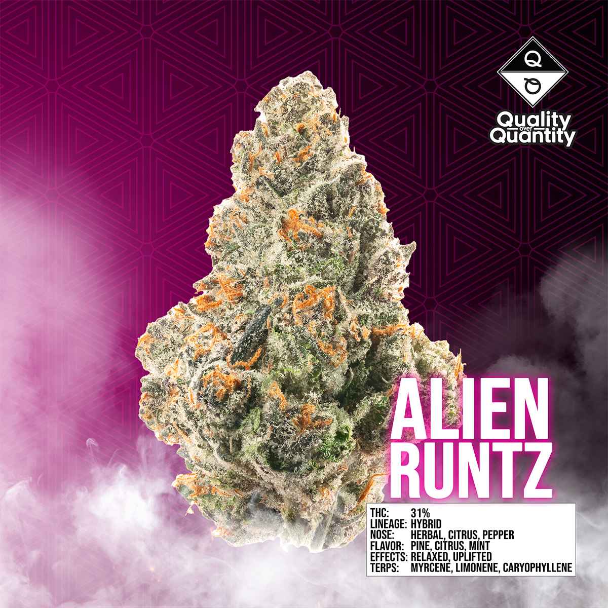 Q-Over-Q-Flower-Alien-Runtz-1×1-BRANDED-1200×1200 QUALITY OVER QUANTITY - Watermelon Lifesaver Flower