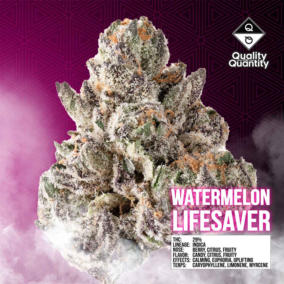 Q-Over-Q-Watermelon-Lifesaver-Flower-1×1-BRANDED-1200×1200 QUALITY OVER QUANTITY - Watermelon Lifesaver Flower