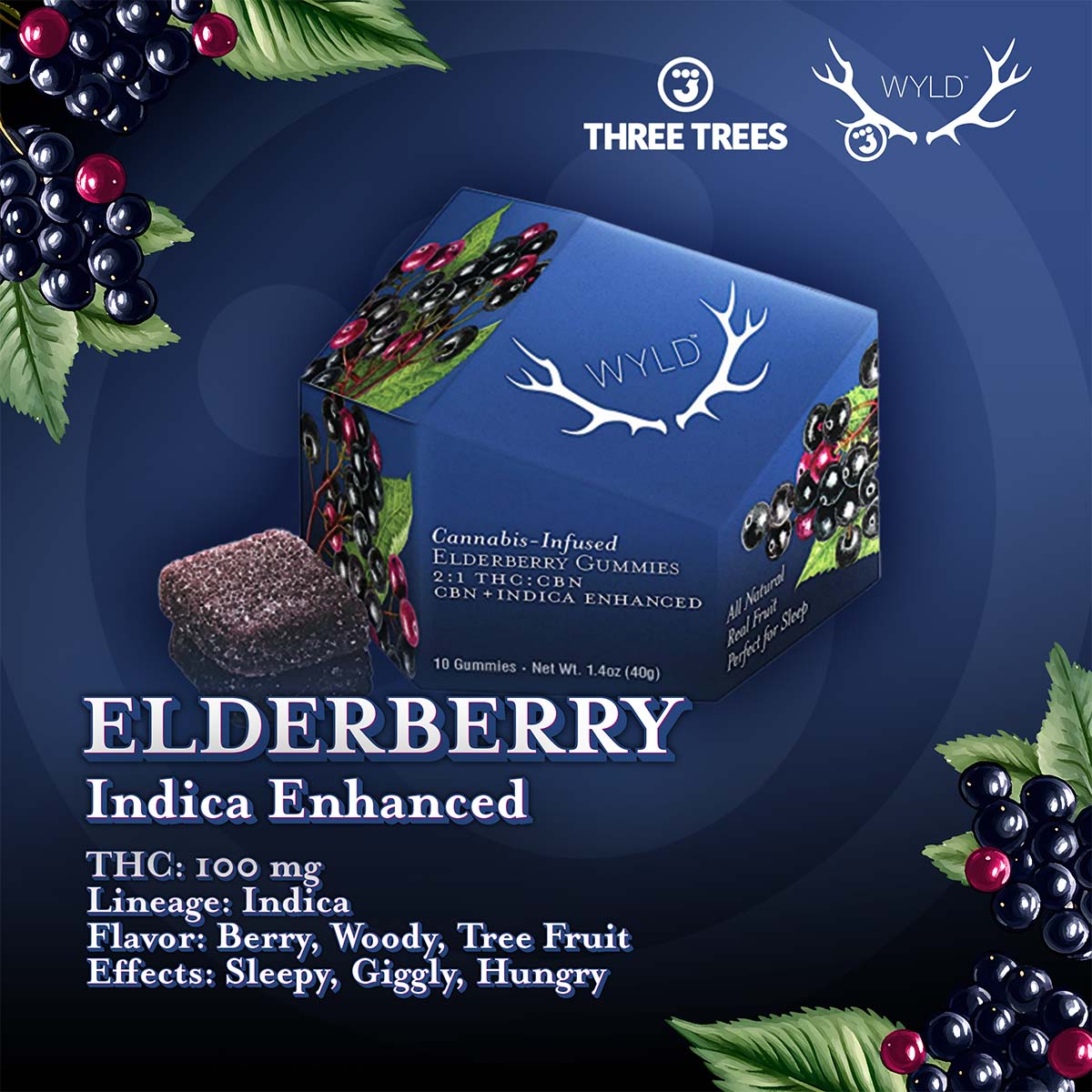 WYLD-Elderberry-1×1-2400×2400 WYLD - Elderberry 2:1 CBN + Indica Enhanced Gummies 100mg:50mg