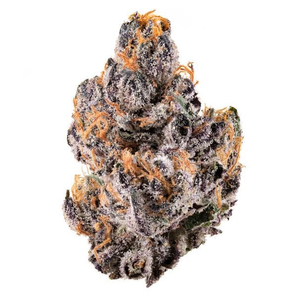 za-iggy-zazalea-mandarin-cookies-flower-7g-600x600-wht-bg