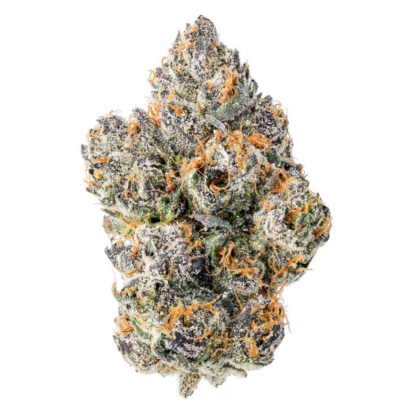 cam-blue-cookies-flower-35g-600x600-wht-bg