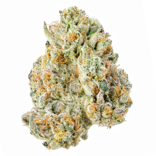 cam-scotties-cake-flower-35g-600x600-wht-bg