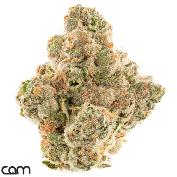 CAM-GG-4-Flower-35g-600x600-wht-bg