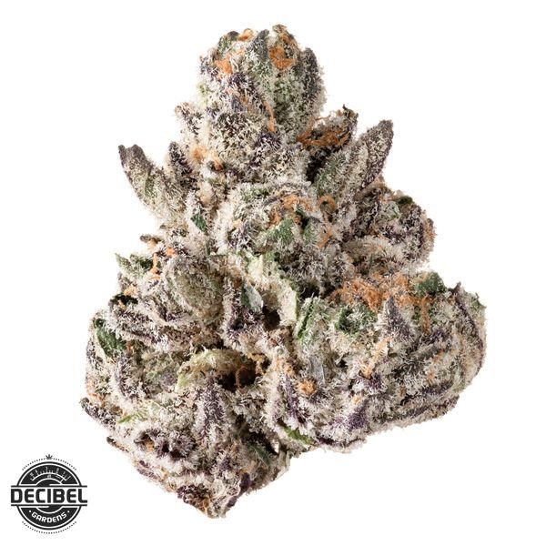 DECIBEL-GARDENS-Benjamins-in-Space-Flower-35g-600x600-wht-bg