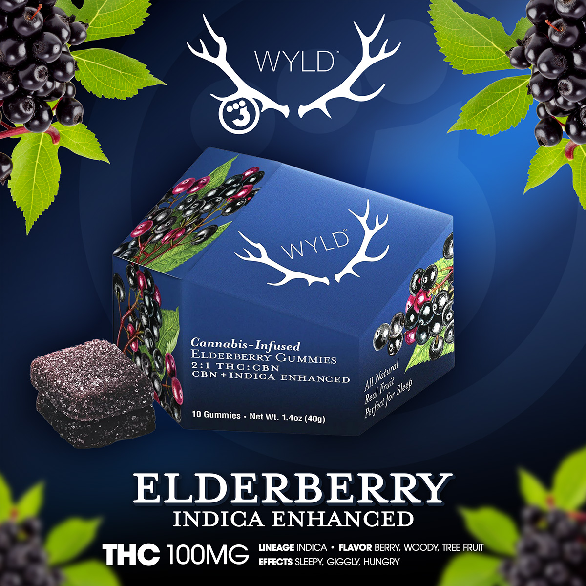WYLD – Elderberry 21 CBN + Indica Enhanced Gummies 100mg – 1×1 Branded 1200×1200