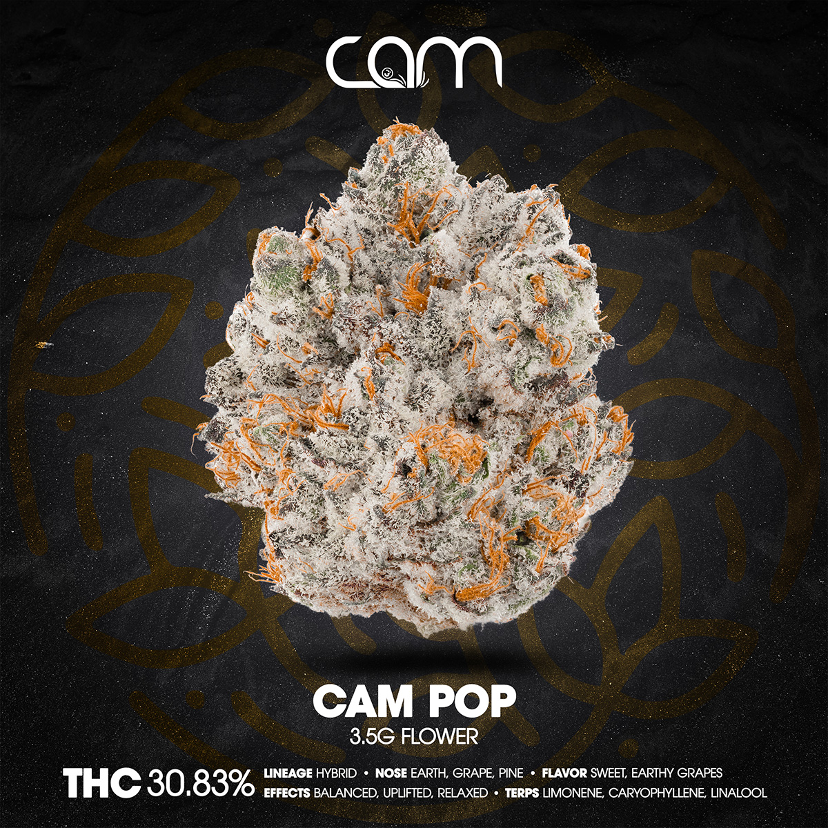 CAM – Cam Pop Flower 3.5g 1×1 1200×1200