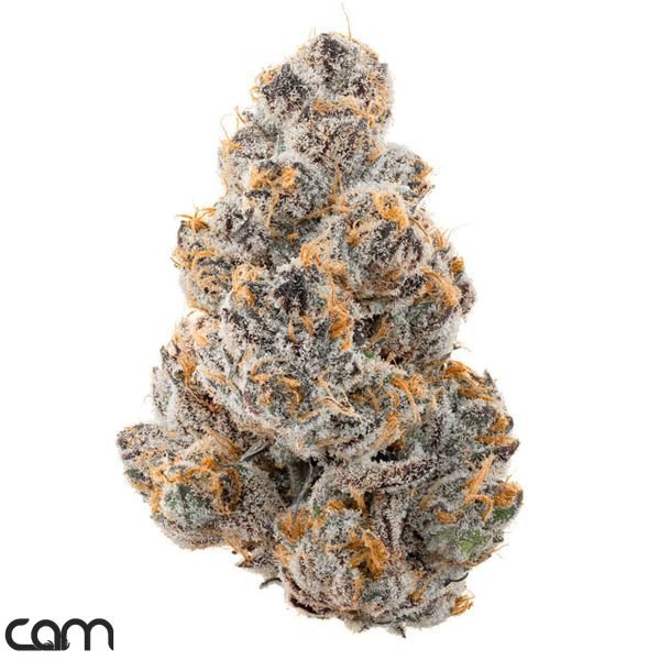 CAM-Cosmic-Kush-Flower-35g-600x600-wht-bg