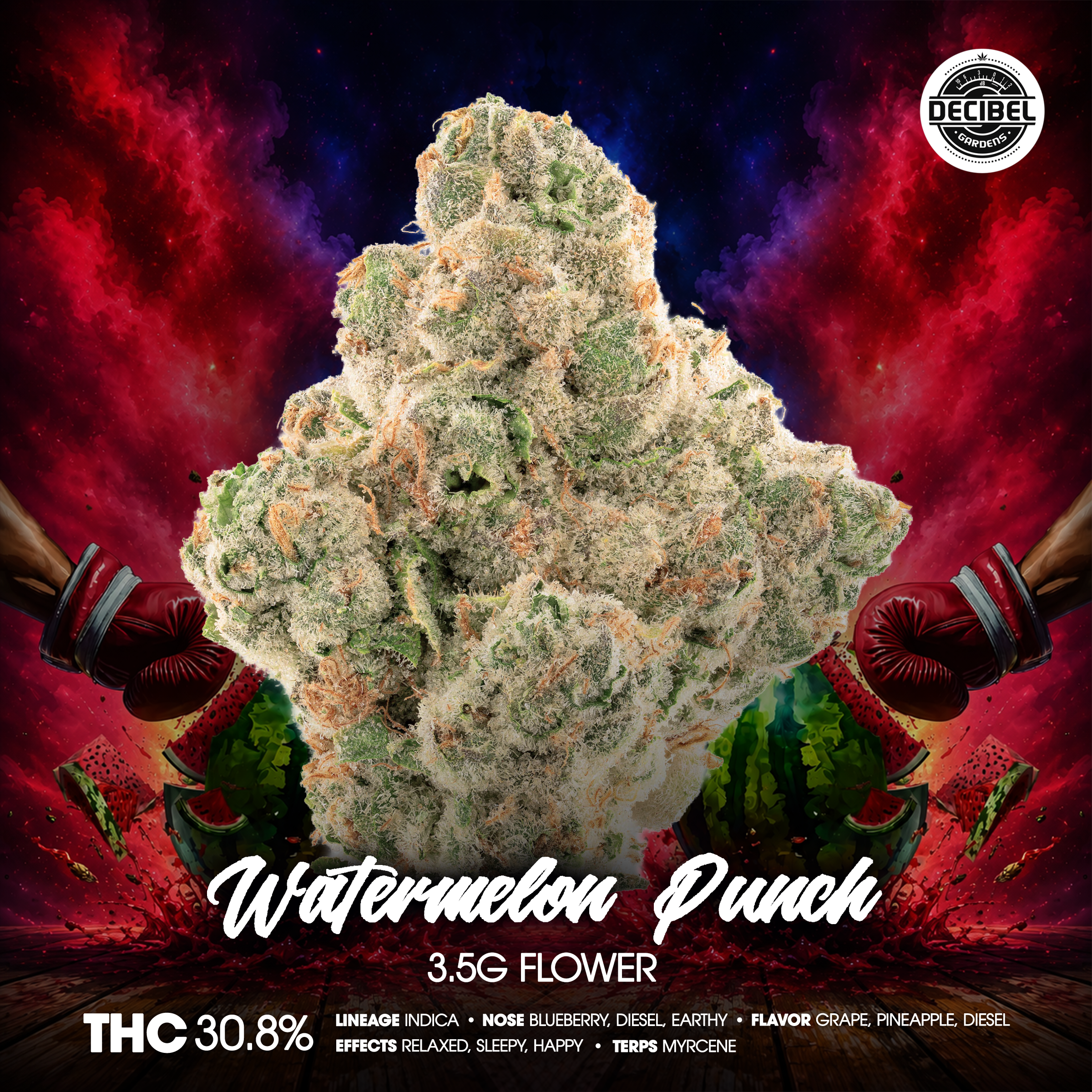 DECIBEL GARDENS – Watermelon Punch Flower 3.5g 1×1-BRANDED-2400×2400