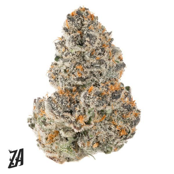 ZA-dakota-ZAhning-Pink-Halo-Flower-7g-600x600-wht-bg