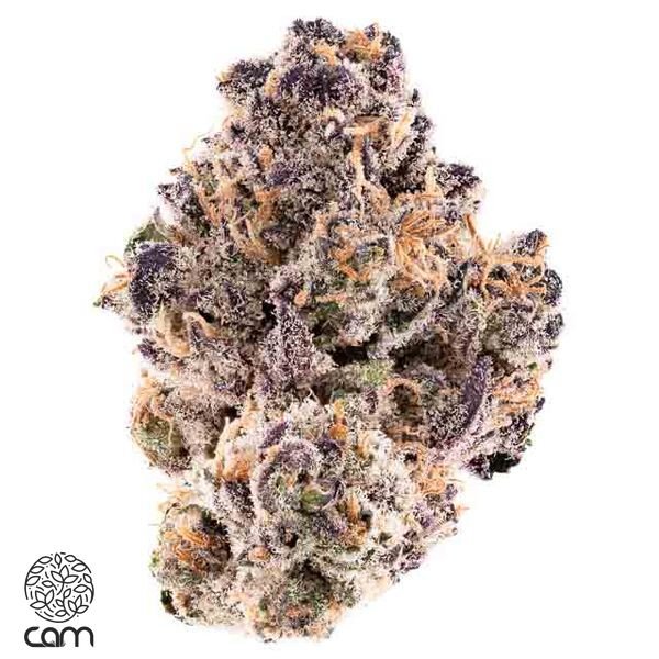 CAM-Mystery-Machine-Flower-35g-600x600-wht-bg