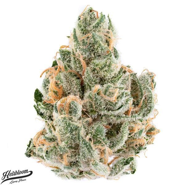 HEIRBLOOM-Banana-OG-Flower-35g-600x600-wht-bg