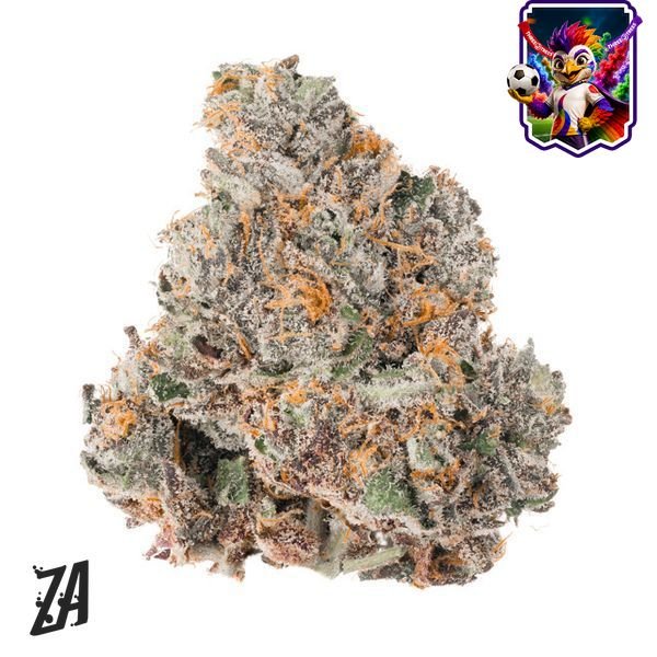 ZA-Cherry-ZAlato-Flower-7g-600x600-wht-bg