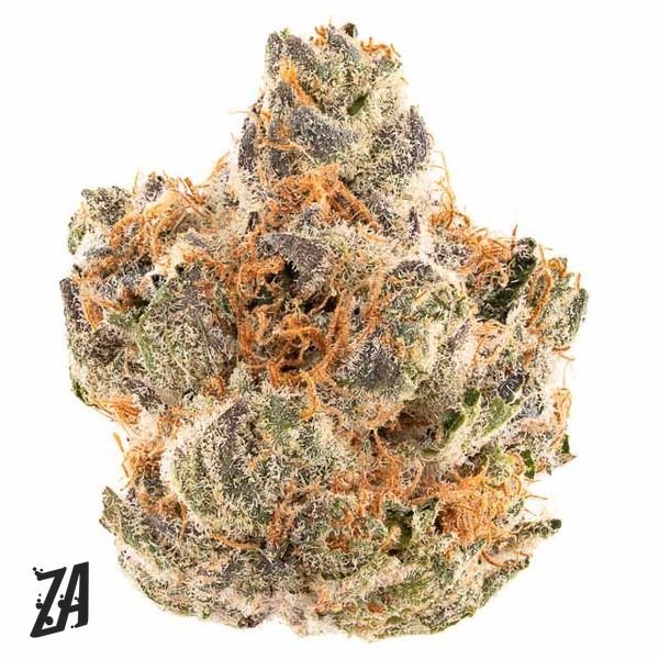 ZA-Iggy-ZAzalea-Pie-Scream-Flower-7g-600x600-wht-bg