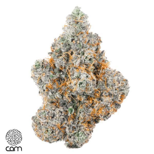 CAM-Kuroge-Flower-35g-600x600-wht-bg