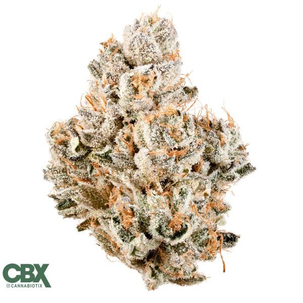 CANNABIOTIX-Cakewalk-Flower-35g-600x600-wht-bg