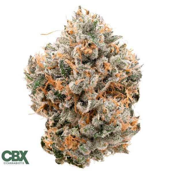 CANNABIOTIX-Kush-Mountains-Flower-14g-600x600-wht-bg