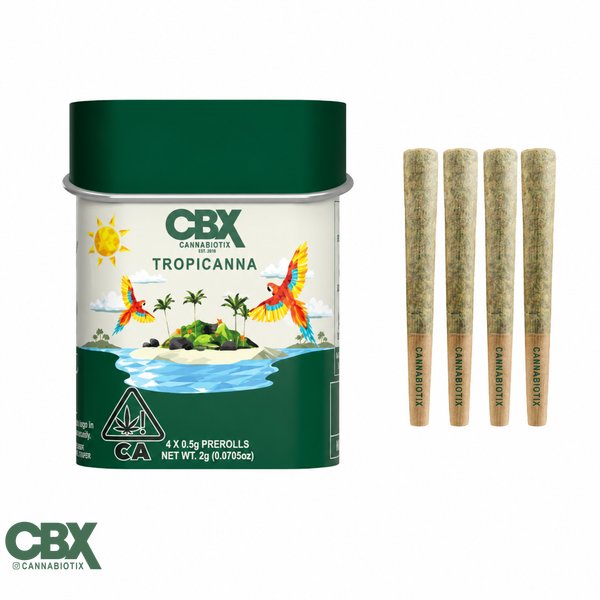 CANNABIOTIX-Tropicanna-Preroll-4-Pack-2g-600x600-wht-bg
