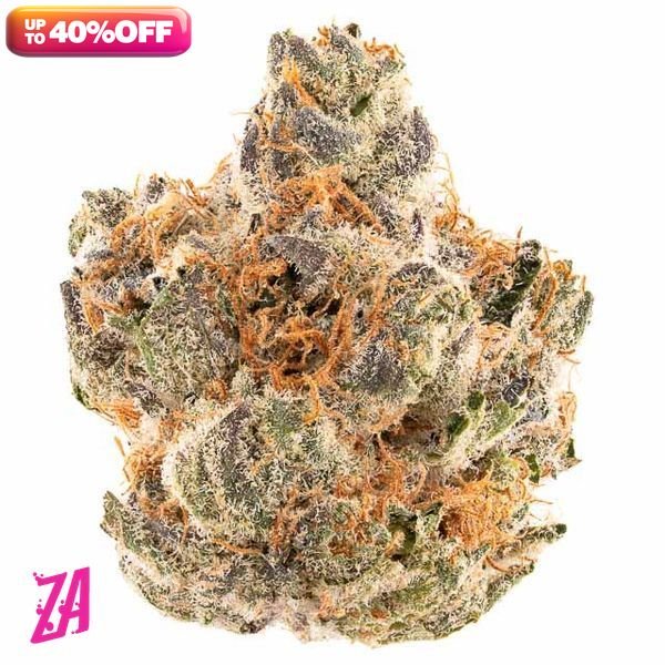 ZA-Iggy-ZAzalea-Pie-Scream-Flower-7g-600x600-wht-bg