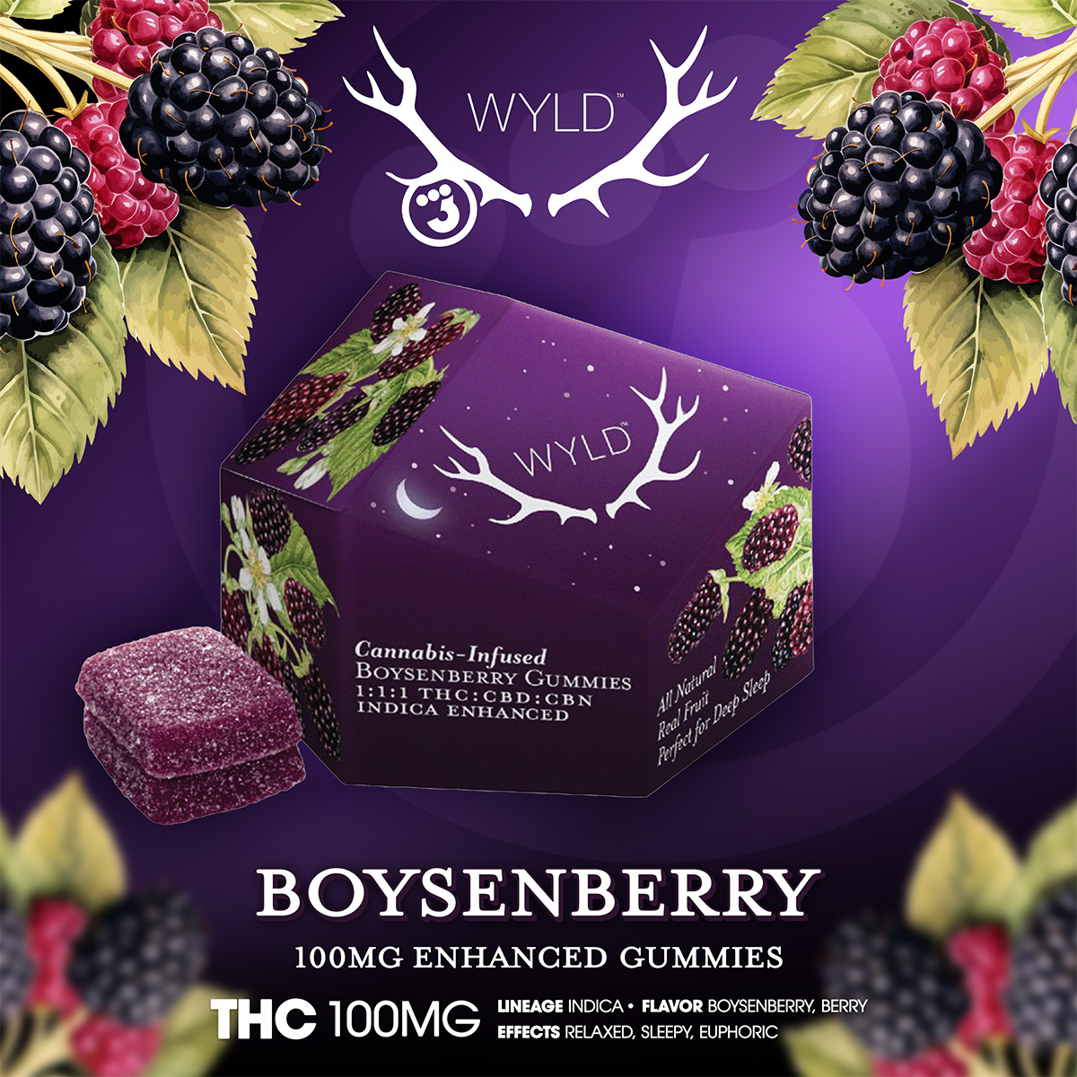 WYLD – Boysenberry 111 THCCBDCBN Enhanced Gummies 100mg – 1×1 Branded 1200×1200
