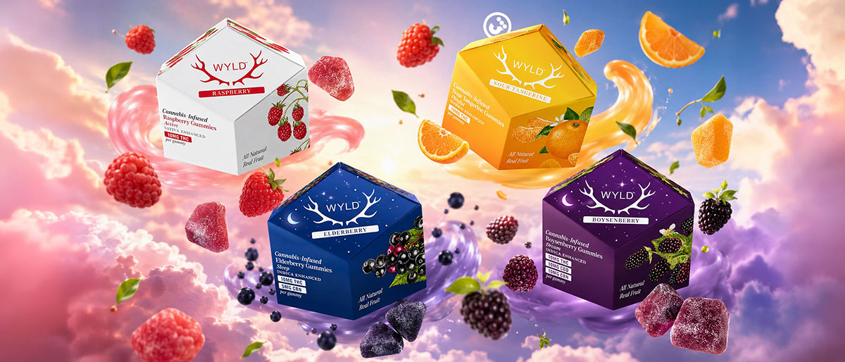 WYLD Brand Blog Section Header 1200×514 jpg 200kb