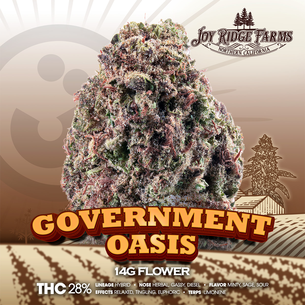 JOY RIDGE FARMS – Government Oasis Flower 14g – 1X1 BRANDED 1200×1200