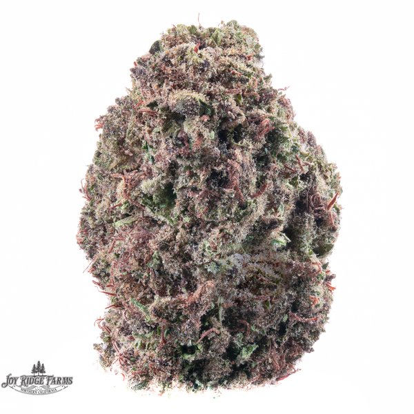 JOY-RIDGE-FARMS-Tropicanna-Cherries-Flower-14g-600x600-wht-bg