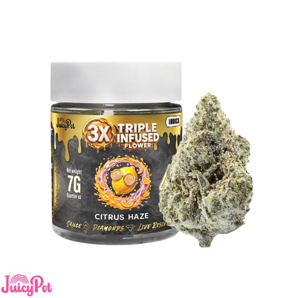 JUICY-POT-Citrus-Haze-Triple-Infused-Flower-7g-600x600-wht-bg