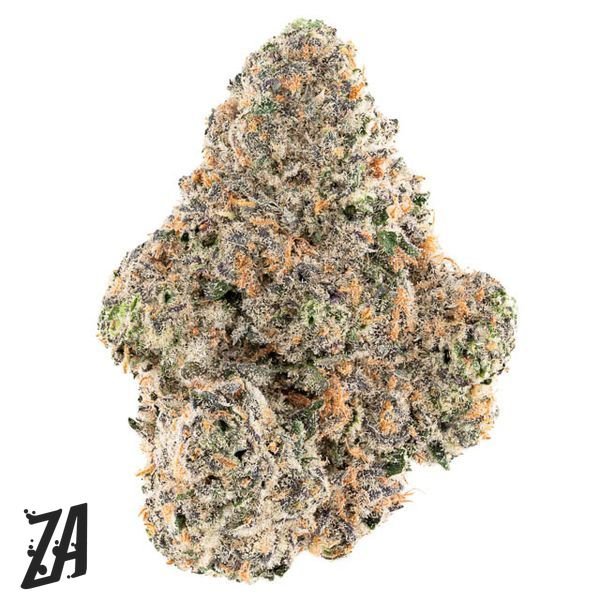 ZA-Wizard-of-ZA-Ruby-Slippers-Flower-7g-600x600-wht-bg