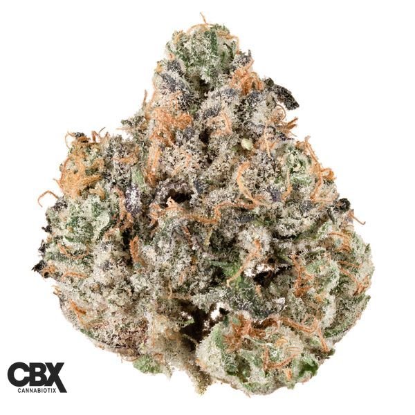 CANNABIOTIX-Zatomic-Flower-14g-600x600-wht-bg